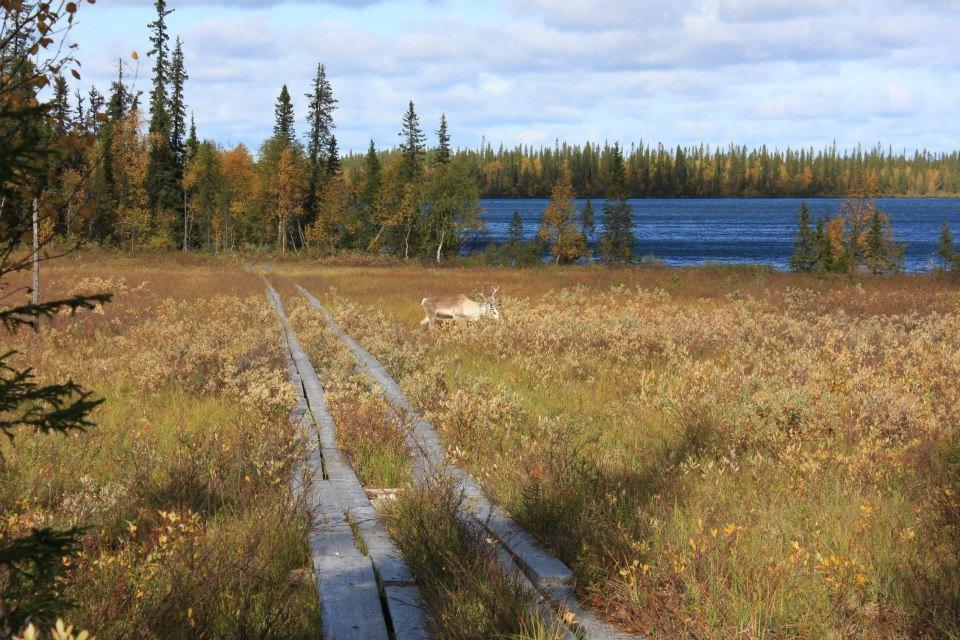 ホテル Kyroen Loma エクステリア 写真