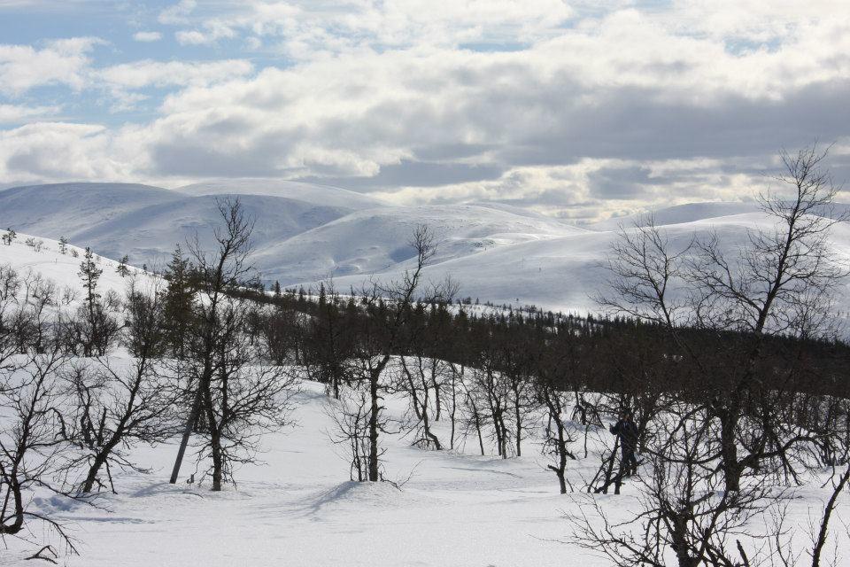 ホテル Kyroen Loma エクステリア 写真